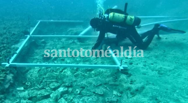Un buzo que investiga la carretera submarina frente a la isla de Kor?ula (University of Zadar)