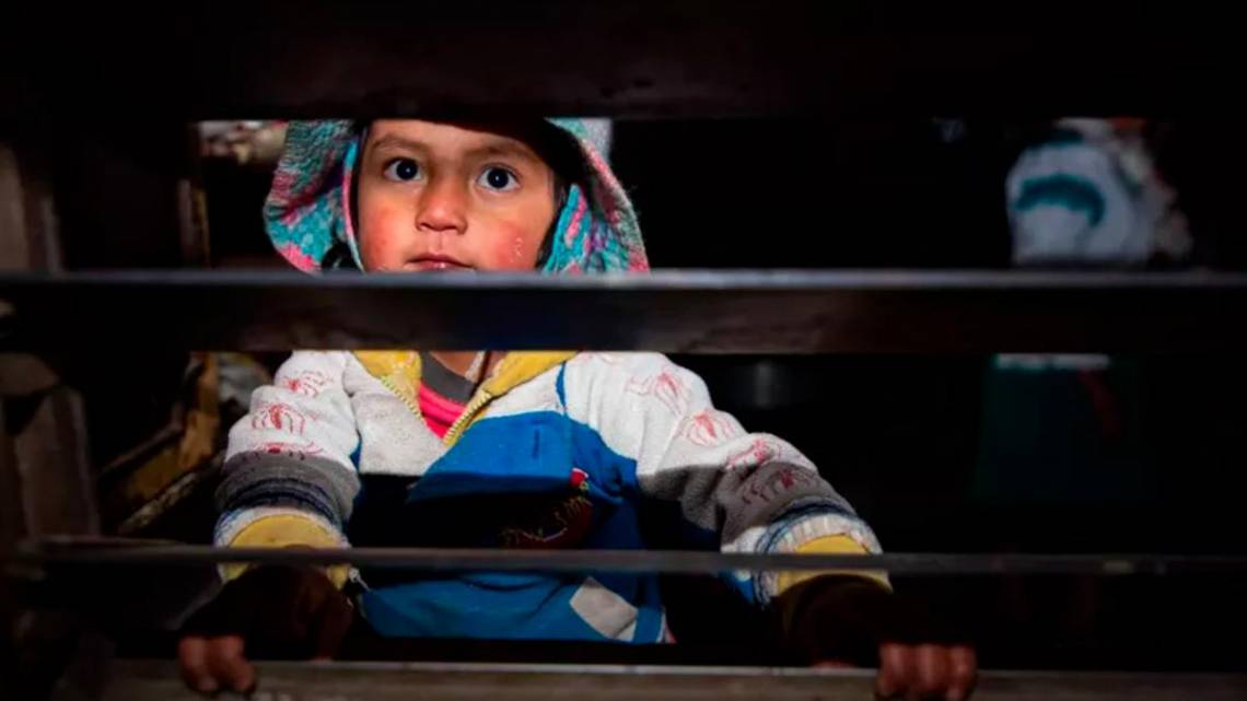 En los últimos cuatro años, las muertes de menores en Ecuador aumentaron un 640%