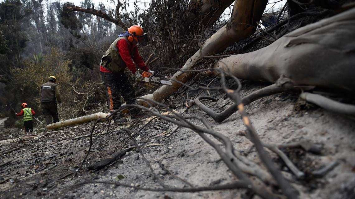 Los bomberos lograron extinguir el fuego en Viña del Mar y Valparaíso. (Foto: AFP)