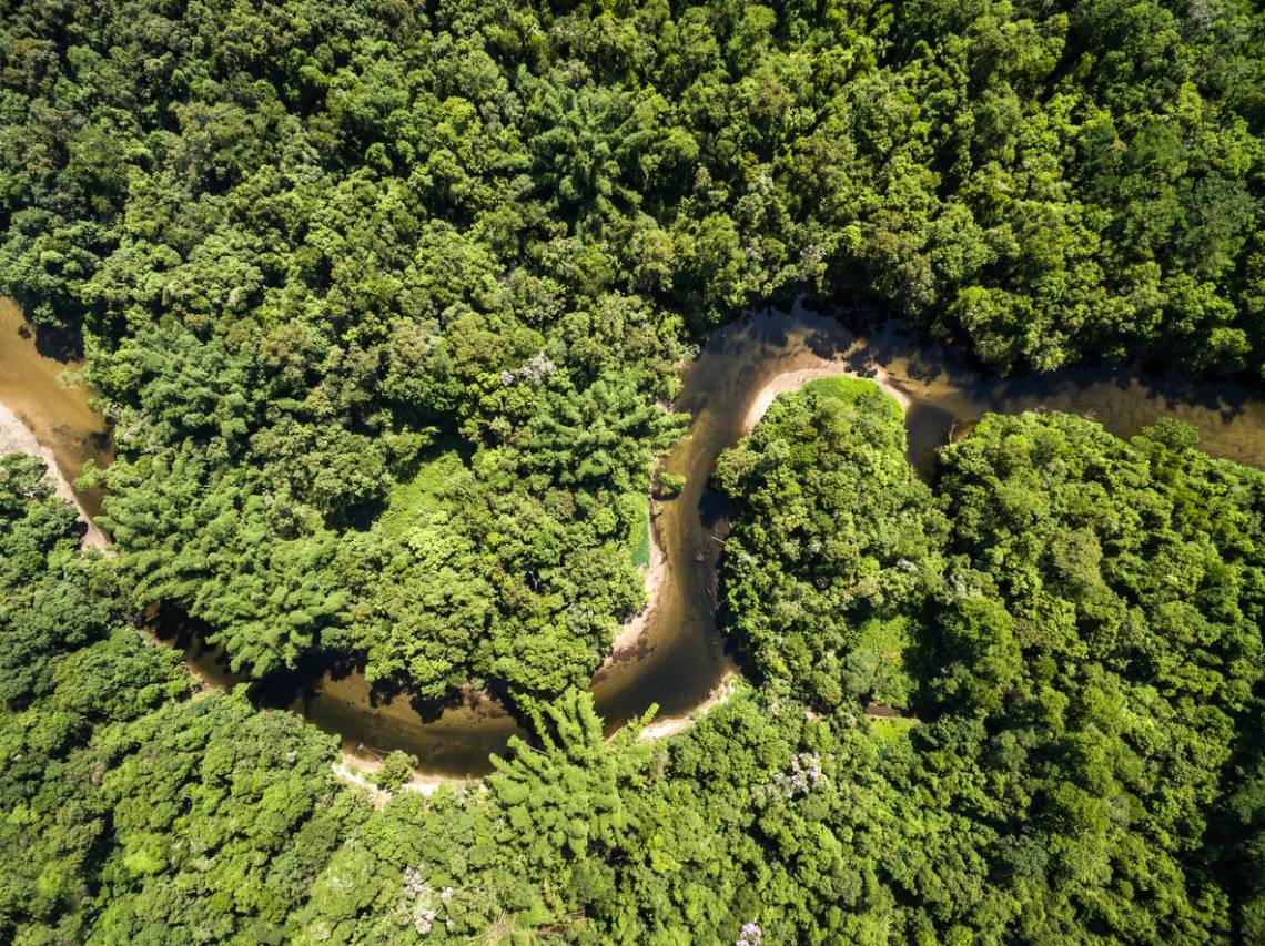 El Amazonas en peligro: advierten que podría desaparecer casi la mitad de la selva en 2050