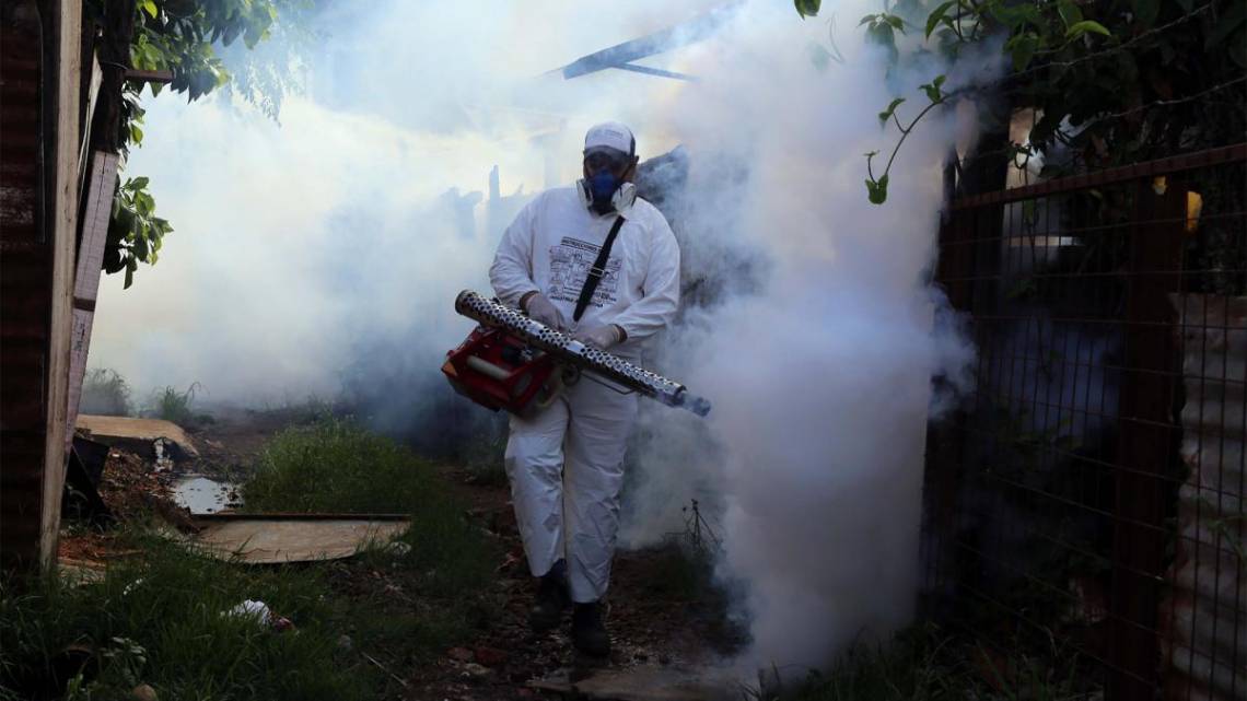 Rosario: un hombre de 38 años murió por dengue y es el primer caso mortal este año en la provincia