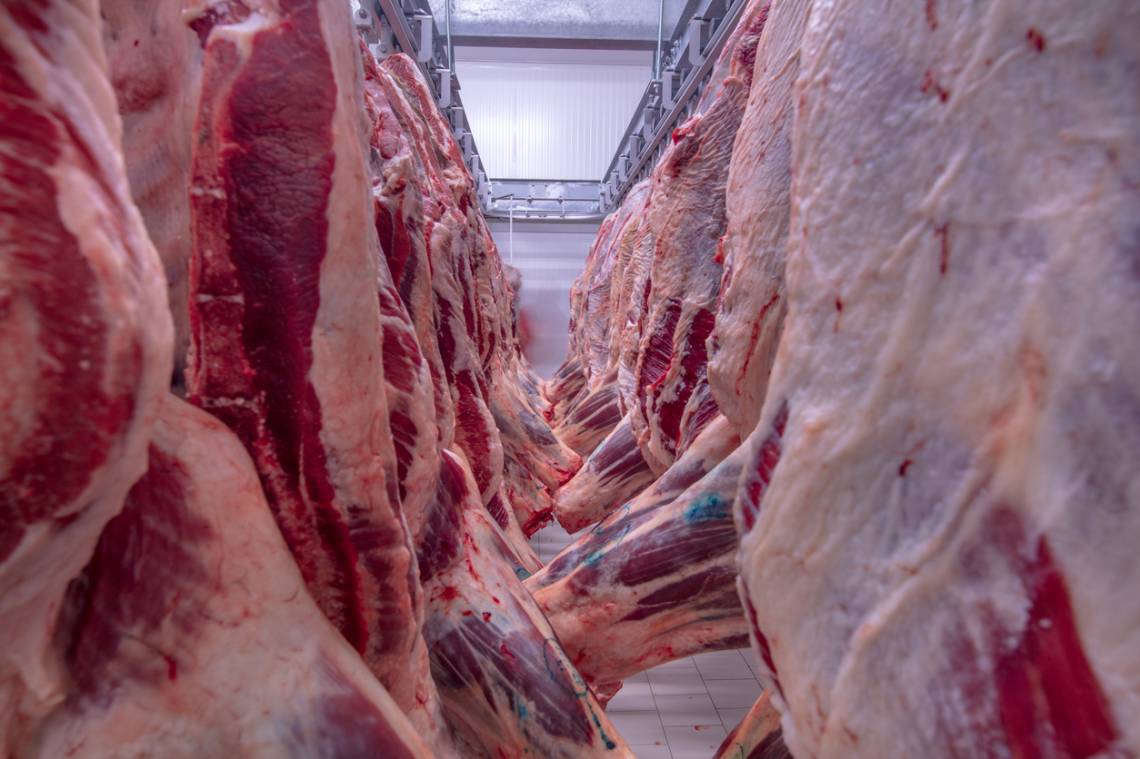 El consumo de carne cayó un 18% en el primer trimestre de 2024. (Crédito: asikkk)