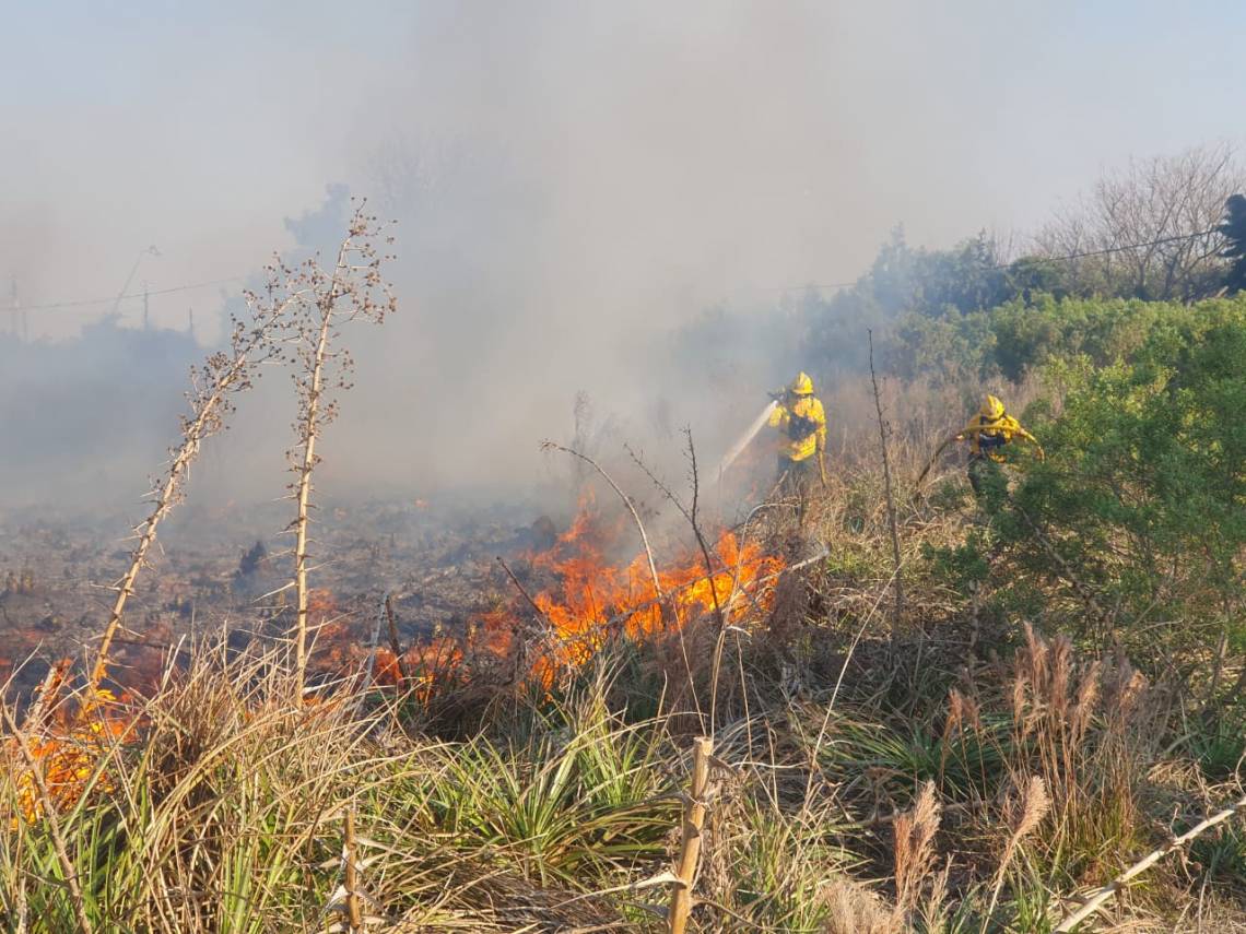 Un incendio de gran magnitud puso en riesgo al complejo “El Arena”