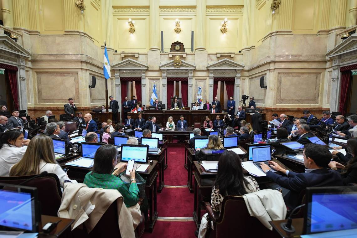 El Senado rechazó el DNU que le otorga 100.000 millones a la SIDE y aprobó el presupuesto universitario