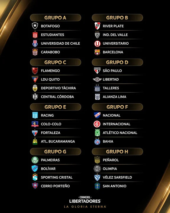 Se conoció la fase de grupos de la Copa Libertadores (Foto: NA)