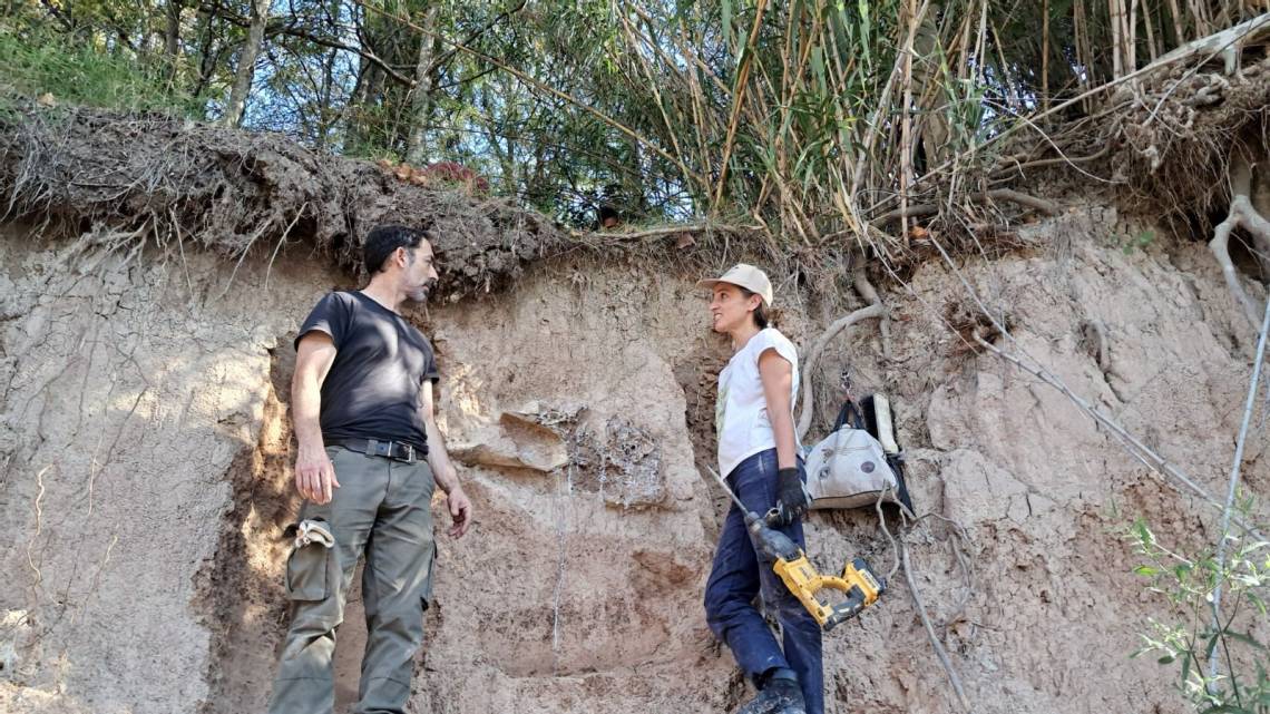 Provincia realizó un importante rescate paleontológico en el arroyo Pavón