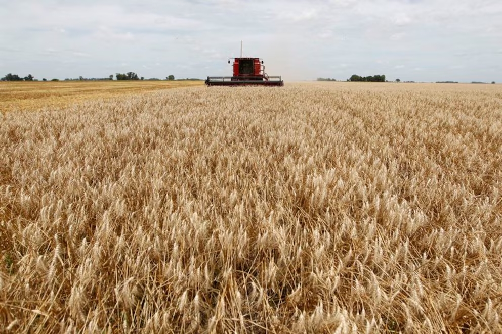 El Gobierno extendió la baja de retenciones para el trigo y cebada y dejó afuera a la soja