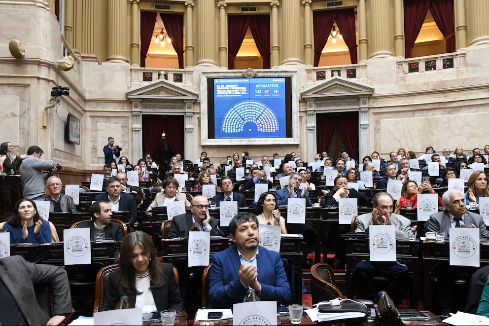 Emergencia en discapacidad: la Cámara de Diputados aprobó el proyecto y pasa al Senado