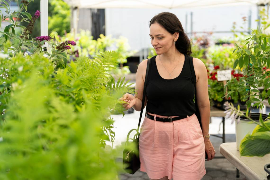 Se viene la Eco Feria: una jornada con propuestas sustentables para toda la familia. (Crédito: Gabriel Pevide)