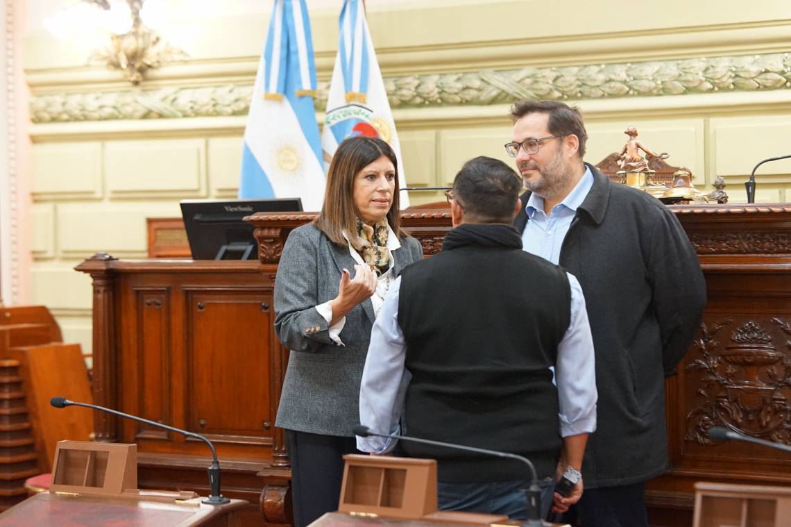 Clara García supervisó las tareas de adecuación realizadas en la Cámara baja para albergar a la Convención Constituyente