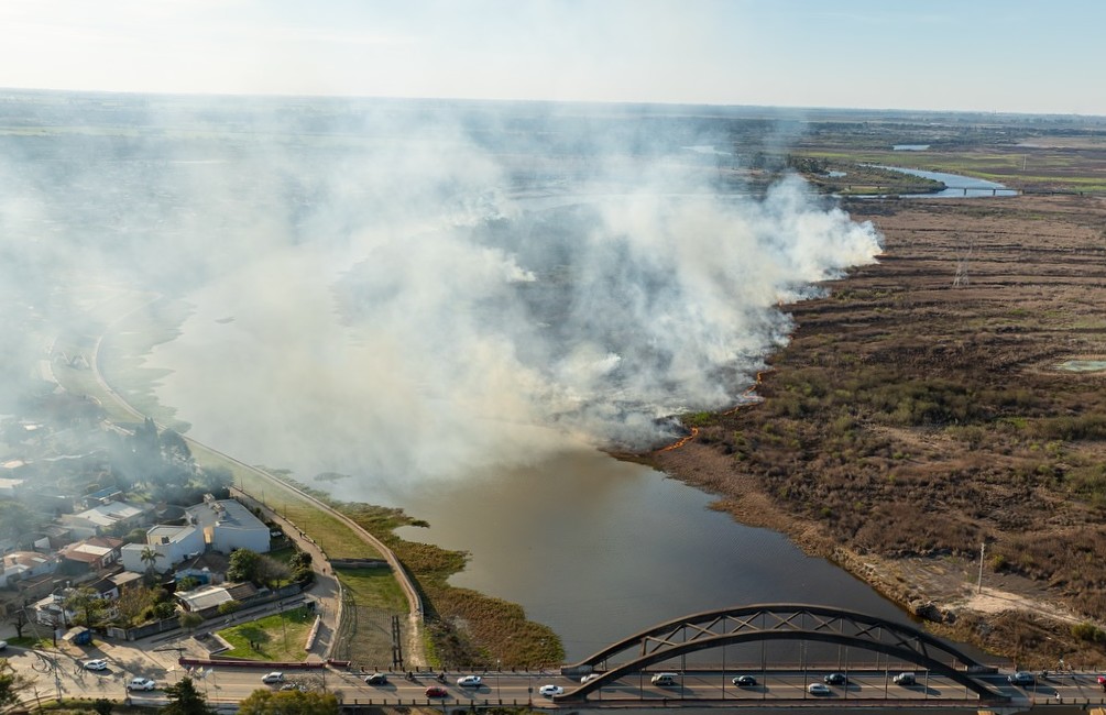 Fuego en las islas: por qué no intervinieron los bomberos