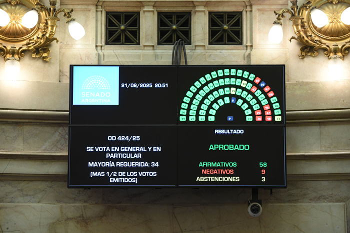 El Senado convirtió en ley el financiamiento universitario con amplio respaldo opositor