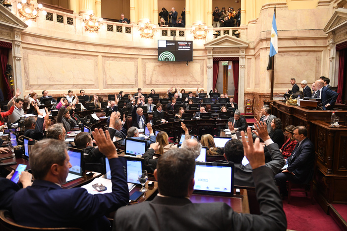 La oposición logró anular el veto de Milei y dio vigencia a la emergencia en discapacidad hasta 2026
