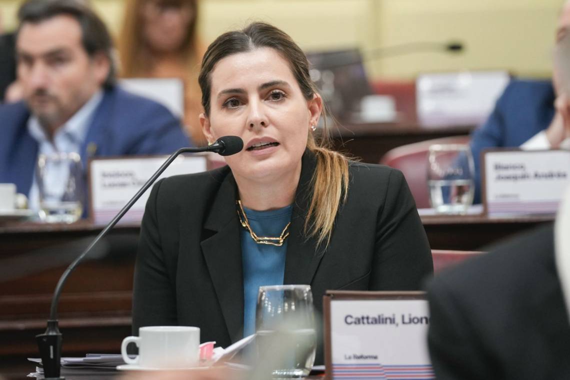 Cattalini pidió al Consejo de la Magistratura que avance en la causa contra el juez Salmain