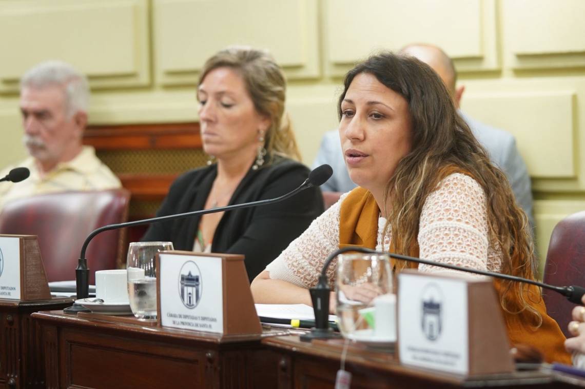 Fentanilo contaminado: diputados provinciales aprobaron una declaración de apoyo a las familias de las víctimas