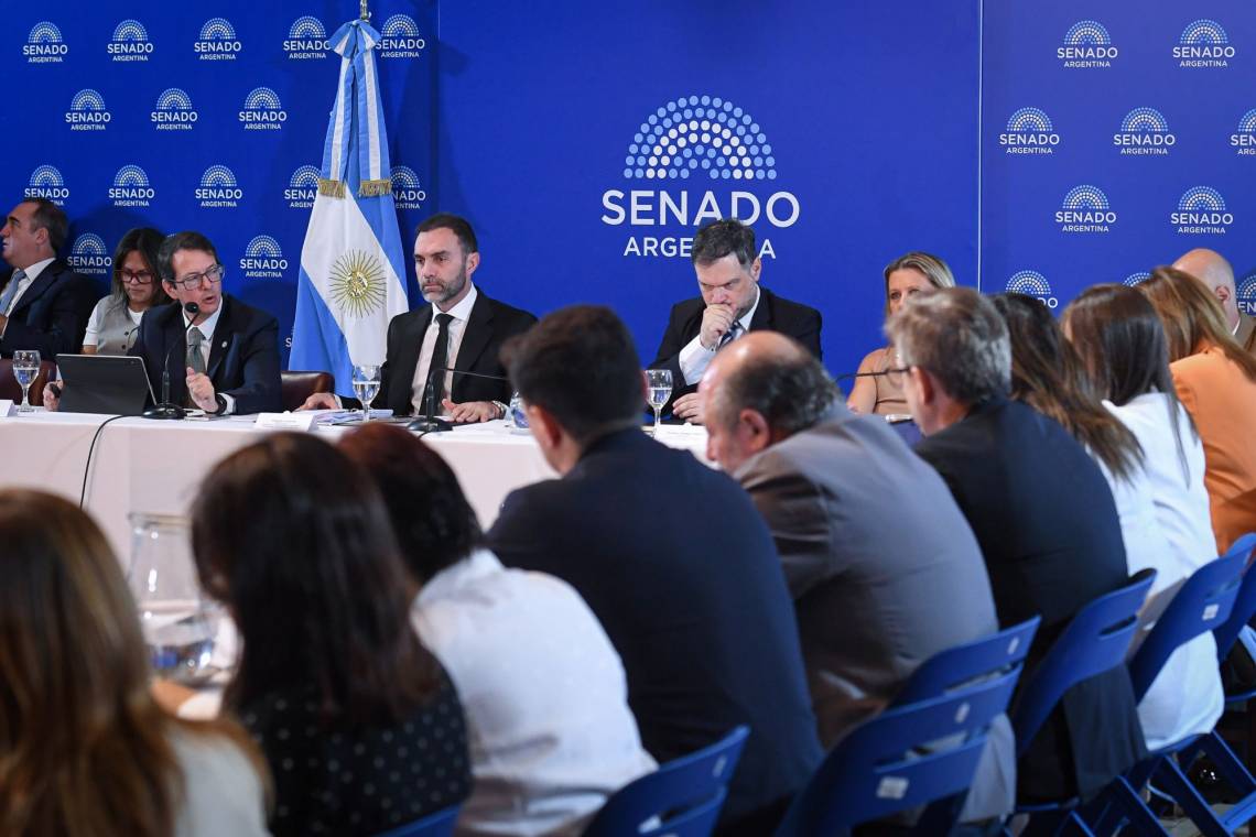 Reunión de la Comisión de Presupuesto y Hacienda del Senado de la Nación. (Foto: Senado)