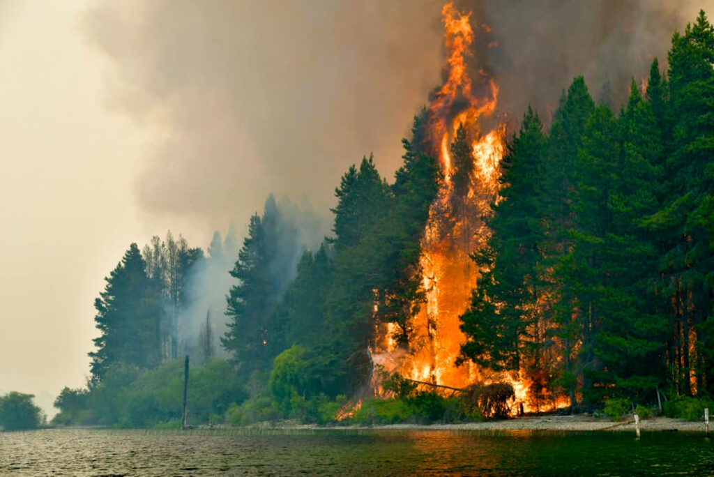 Chubut en alerta: el calor y el viento reavivan los incendios forestales