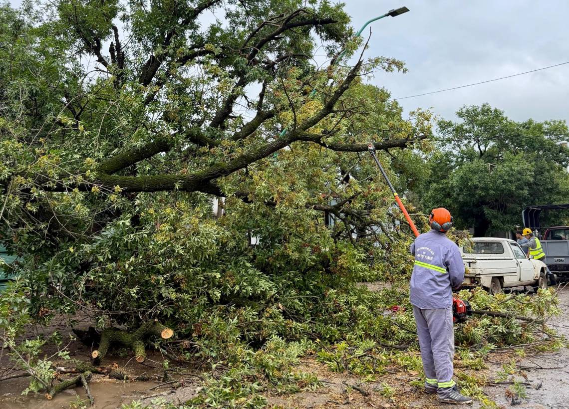 La tormenta de este martes provocó la caída de árboles y ramas en distintos puntos de la ciudad. (Foto: MST)