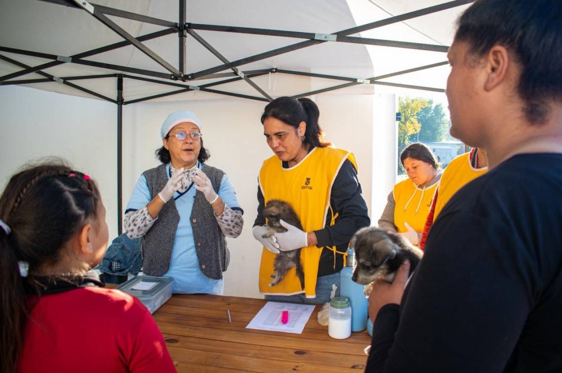 El Municipio realizó un nuevo abordaje masivo de Protección Animal con múltiples intervenciones. (Foto: MST)