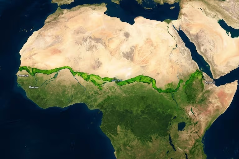 La Gran Muralla Verde proyectada en África.