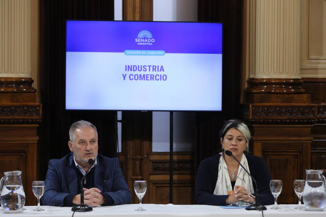 El senador nacional Marcelo Lewandowski fue reelecto como presidente de la Comisión de Industria y Comercio del Senado de la Nación.