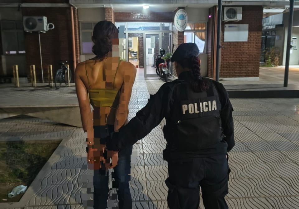Detuvieron a una joven e investigan si está vinculada con el robo a la Escuela Bustamante