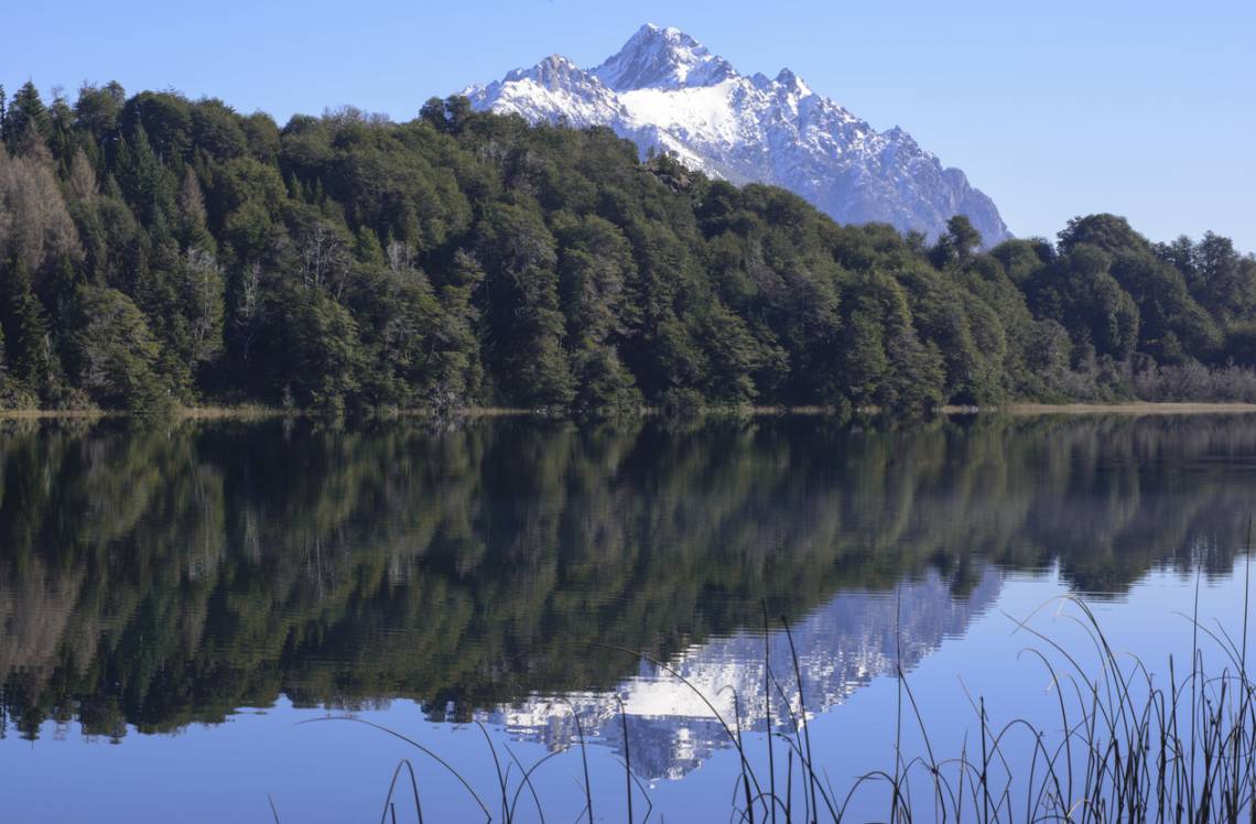 El oficialismo cedió en el Senado y propone elevar al 25% el límite para la compra de tierras por extranjeros. (Crédito: Buenaventuramariano)