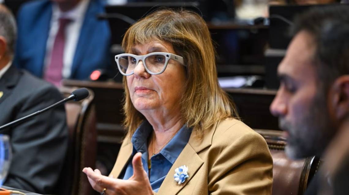 Bullrich presentó los cambios acordados para el proyecto de Ley de Tierras. (Crédito: Senado)