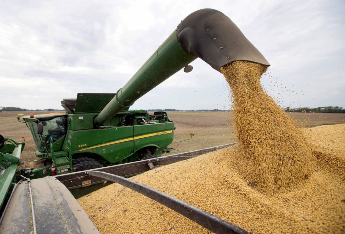 El agro produce más y exporta en niveles récord, pero acumula una baja del 12% en el ingreso de dólares