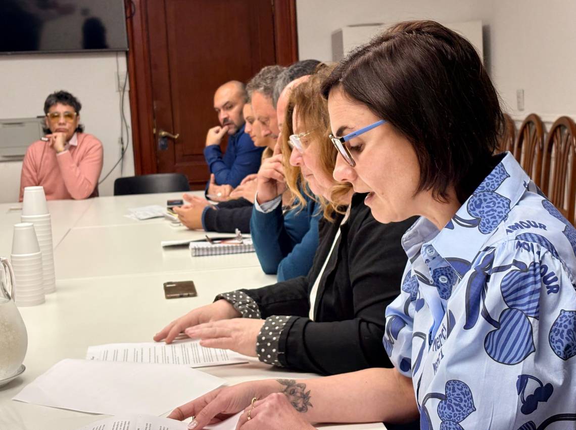 Valeria Echeverri, durante la reunión con la Comisión de Gobiernos Locales de Diputados. 