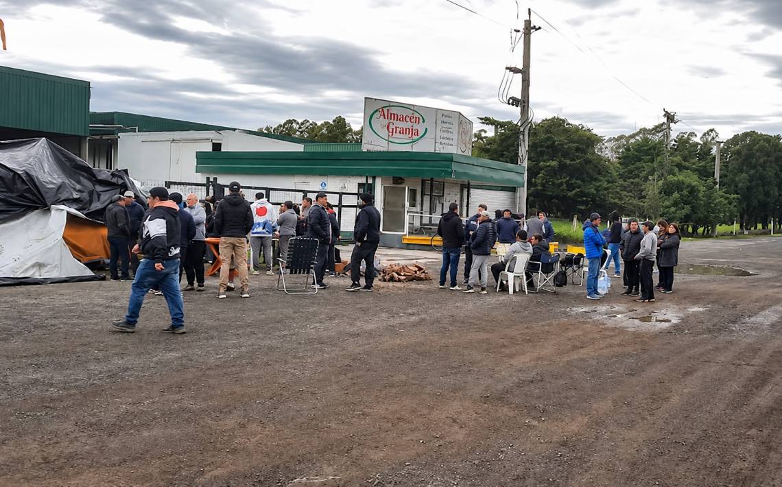 Granja Tres Arroyos despidió la semana pasada a más de 700 trabajadores en la planta de Capitán Sarmiento, de los más de 1.000 que tenía.