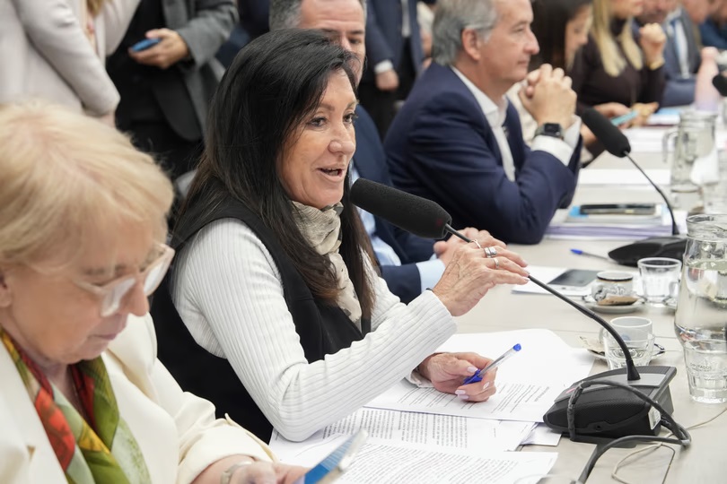 Tras un plenario de comisiones, el oficialismo logró un dictamen sobre Discapacidad. (Crédito: NA)