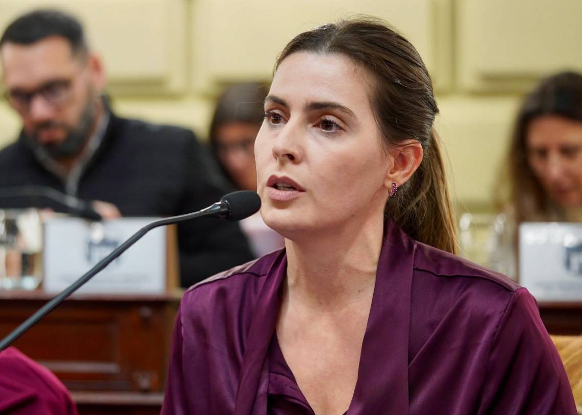 La diputada socialista Lionella Cattalini.