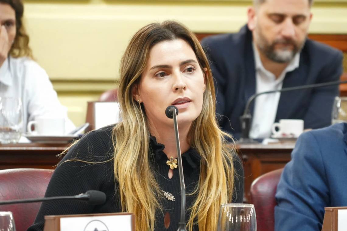 La diputada provincial Lionella Cattalini destacó la media sanción de la reforma que busca mejorar los controles sobre el cumplimiento de las cuotas alimentarias en Santa Fe.