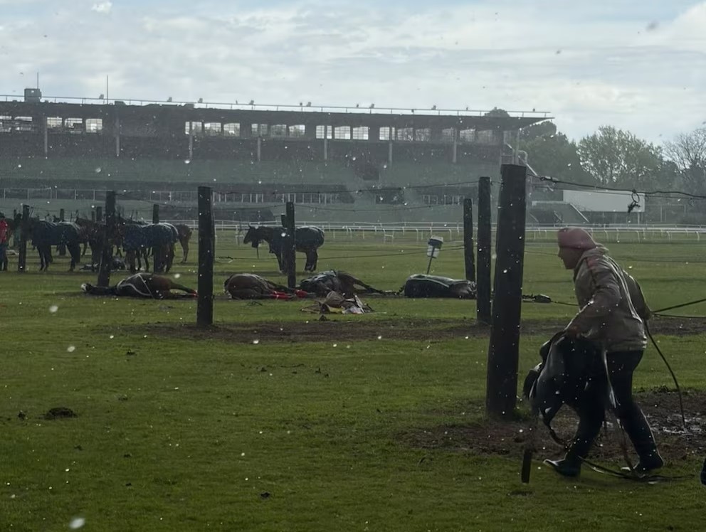 Cuatro yeguas murieron alcanzadas por un rayo en el Jockey Club de San Isidro.